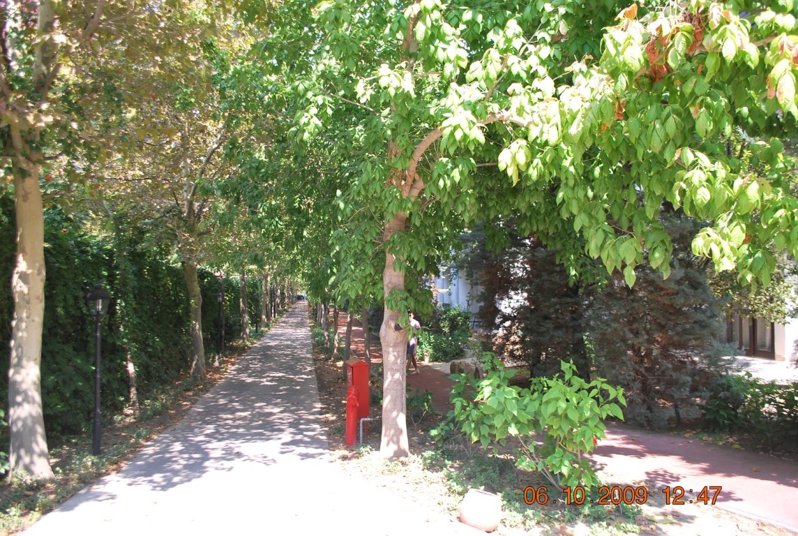 imagini hotel WOW TOPKAPI PALACE